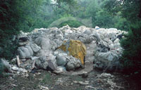 Pollution