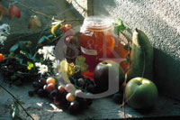 Harvest Festival