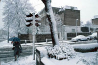 Snow